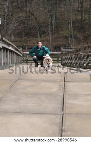 Dog Training - a man is training his dog at the park in springtime.  Selective focus on the dog, the man is not in focus.