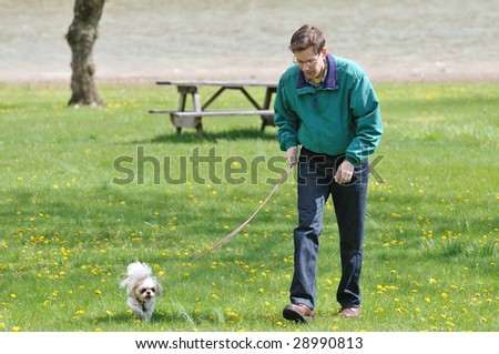 Walking The Dog - A man walking with his dog in the park on a sunny spring day.