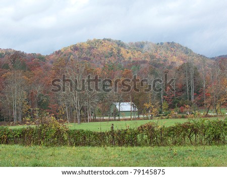Fall colors of the trees and a barn in the countryside of North Carolina, USA, on a rainy day.