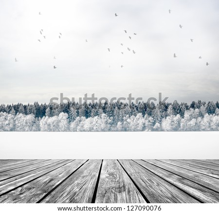 wood textured backgrounds in a room interior on the forest winter backgrounds with flying birds