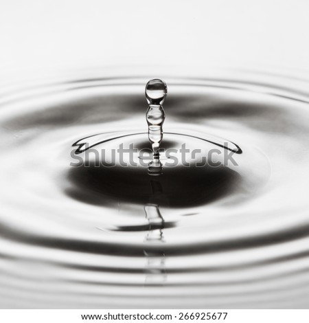 Water drop falling into water making a perfect droplet splash