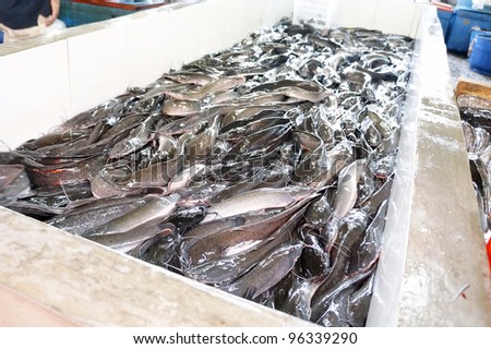 Large group of fresh catfish at the wet market.