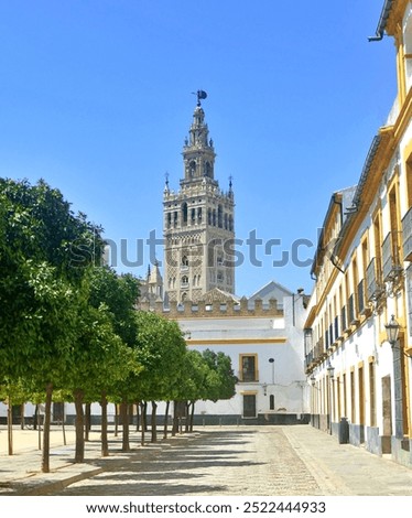 Foto Bild Catedral de Sevilla