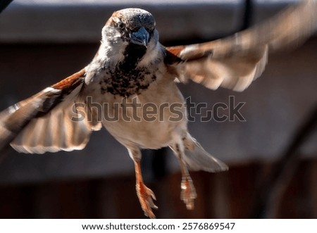 Similar – Image, Stock Photo Flight over a small winding river