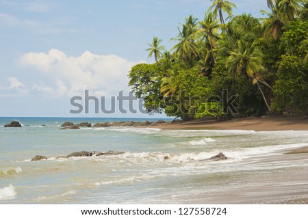 Deserted beautiful beach at Drake Bay in Costa Rica.