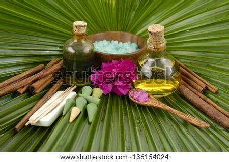 Green palm background - red tropical flower , massage oil, salt in bowl on palm