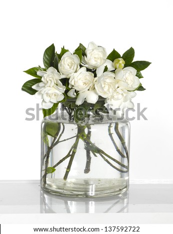 Set of bunch of Gardenia Blossom in glass vase