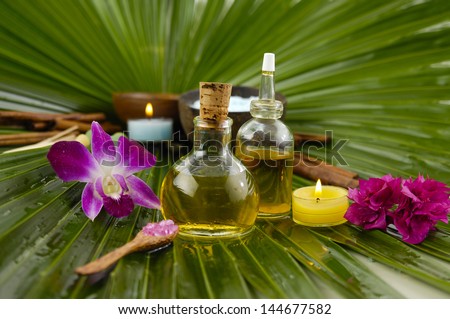 Set for tropical spa and palm leaf texture