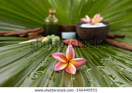 spa supplies with frangipani. Sat in bowl, candle, massage oil, wet palm