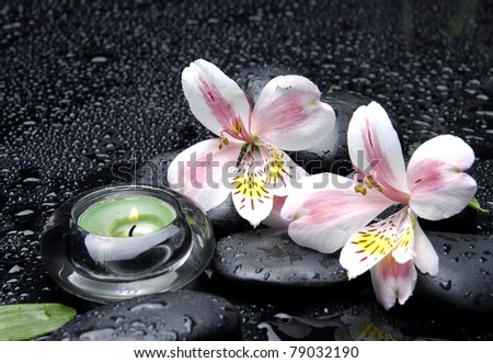 Zen-like scene with orchid and candles and stones