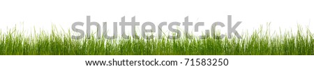 Extra large horizontal strip of grass, dirt, and roots isolated on white background.