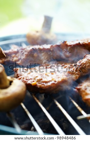 Steak and other Meat on BBQ