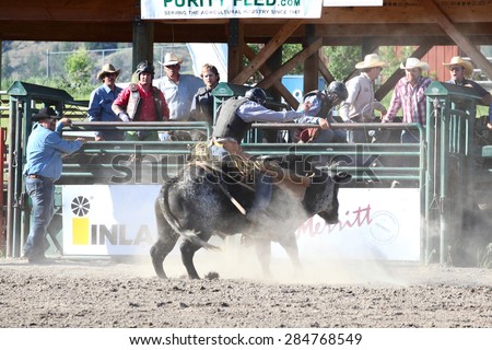 MERRITT; B.C. CANADA - May 30; 2015: Bull rider riding in the first round of The 3rd Annual Ty Pozzobon Invitational PBR Event.