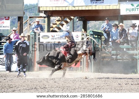 MERRITT, B.C. CANADA - May 30, 2015: Bull rider riding in the first of The 3nd Annual Ty Pozzobon Invitational PBR Event.
