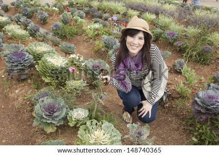 Girl in cabbage farm, a girl wearing purple dress in purple cabbage farm