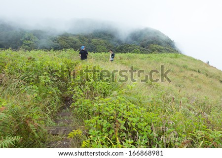nature walkway, humid land field forest with walk way in the mist cloud
