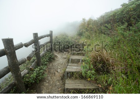 nature walkway, humid land field forest with walk way in the mist cloud