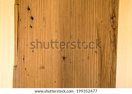 hard wood texture, cedar wood texture in light brown colour