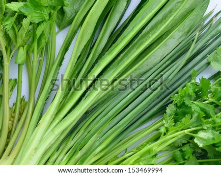 Fresh coriander or cilantro leaves