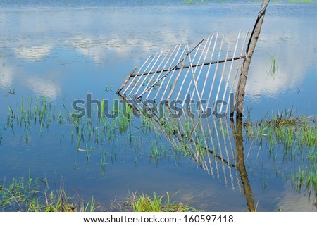 The rice fields flooded damage
