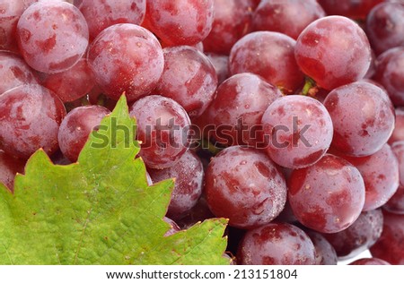 Red grapes with leaf