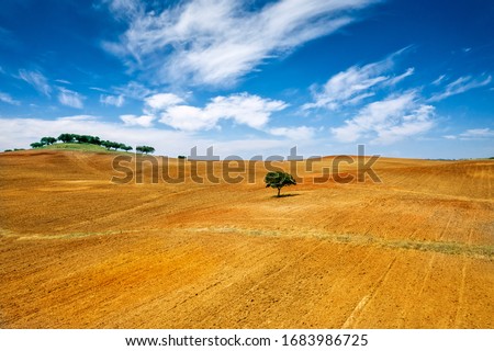 Similar – Foto Bild Alentejo-Landschaft