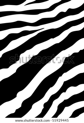 Zebra Lines Stock Photo 55929445 : Shutterstock