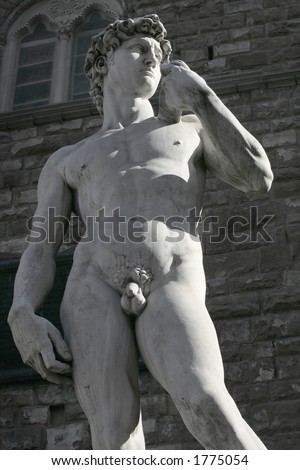Michelangelo\'s replica David statue late in the day as the sun casts long shadows over the city of Florence.