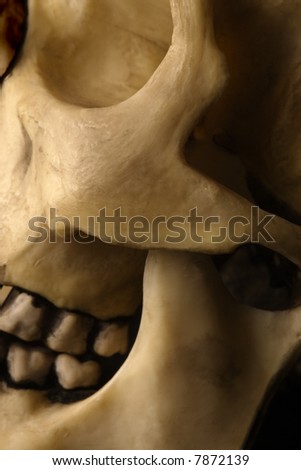 Abstract image of a human skull.