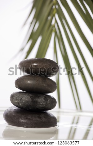 Green leaves over zen stones pyramid on water surface