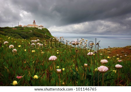 Wild flowers and the lighthouse in the cliffs of Roca Cape in Portugal