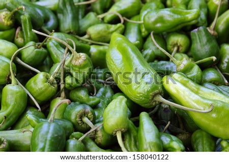 Many green Padron Peppers for sale in a market of biologic products
