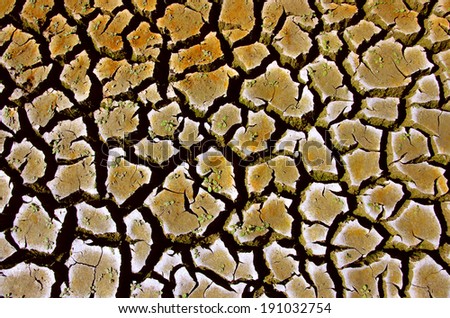 Pattern of cracked and dried soil under the Sun