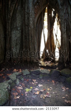 Wall with gothic door full of glowing light in a Natural Park.