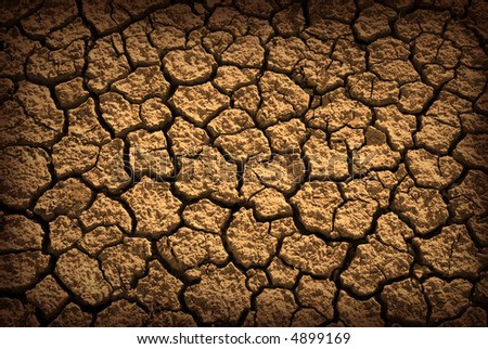 Pattern of cracked and dried soil under the Sun