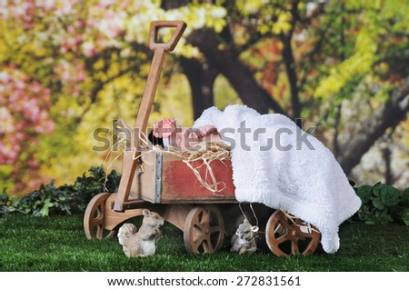An adorable newborn sleeping contentedly outside under blossoming trees  in rustic old, hay-filled  wagon.
