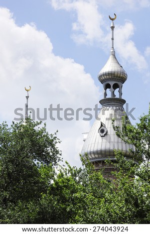 Image of two minarets over the treetops at the University of Tampa\'s Plant Hall Academic and Administrative Building.
