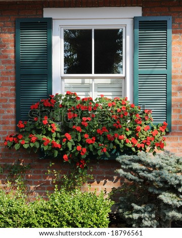 A bright shuttered window with a flower box overflowing with red flowers. Taken on a sunny day.