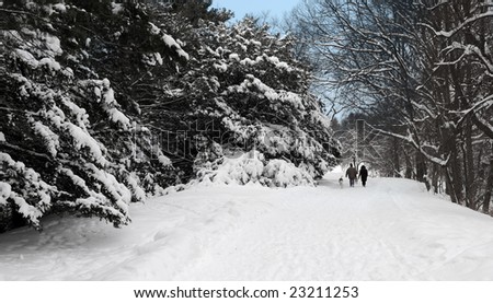 A distant couple walking their dogs through a winter wonderland.