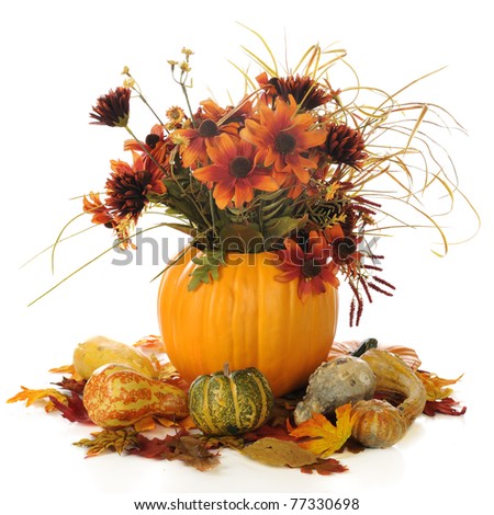 A fall bouquet in a pumpkin shell, surrounded by colorful gourds and leaves.  Isolated on white.