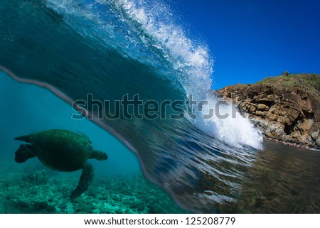 Blue ocean wave breaking with turtle swiming underwater