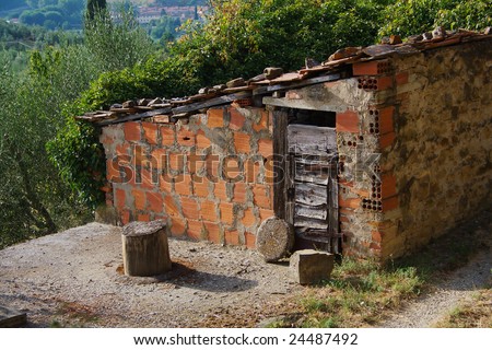 Rustic brick shed with torn down wooden door