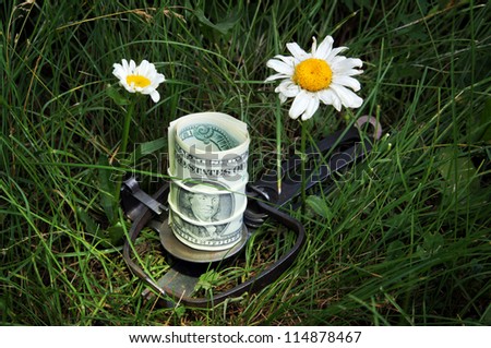 Trap with money in dense grass