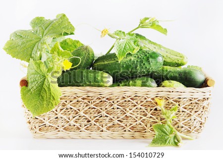 Fresh cucumbers in a wicker basket against light background