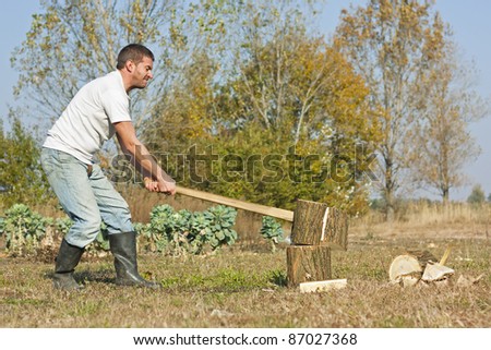 Male figure chopping or slitting winter wood against a rural Autumn backdrop