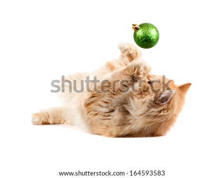 red kitten lying on his back flips a new year\'s green ball isolated