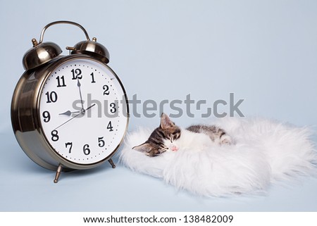 time to sleep for little cute kitten on blue background