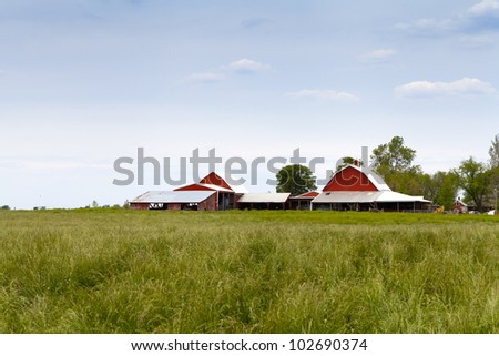 American Farm