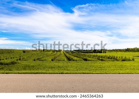 Similar – Image, Stock Photo Country road and path surrounded by fields with barley and rape, two trees standing at the roadside in front of a blue sky with little clouds and sunshine