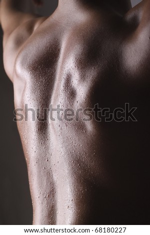 Wet Muscular Man back and shoulders